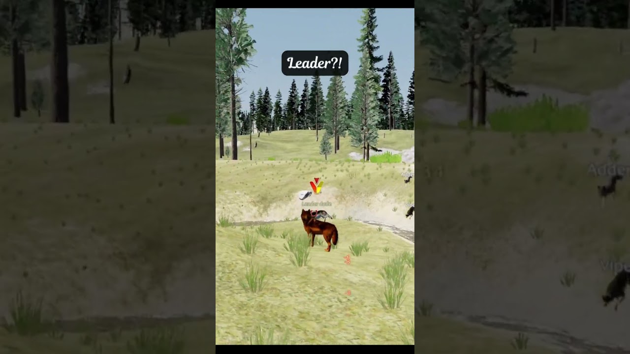 When Your Pup has a Death Wish 💀 