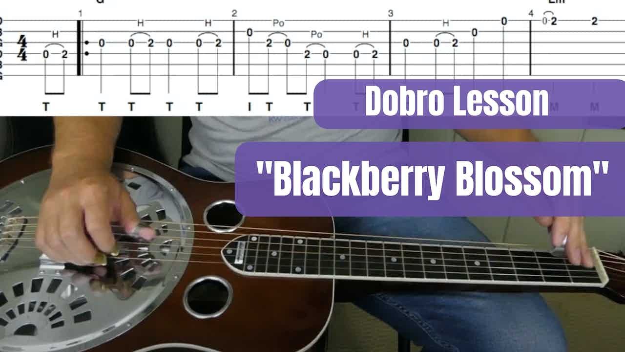 Blackberry Blossom | Dobro Lesson
