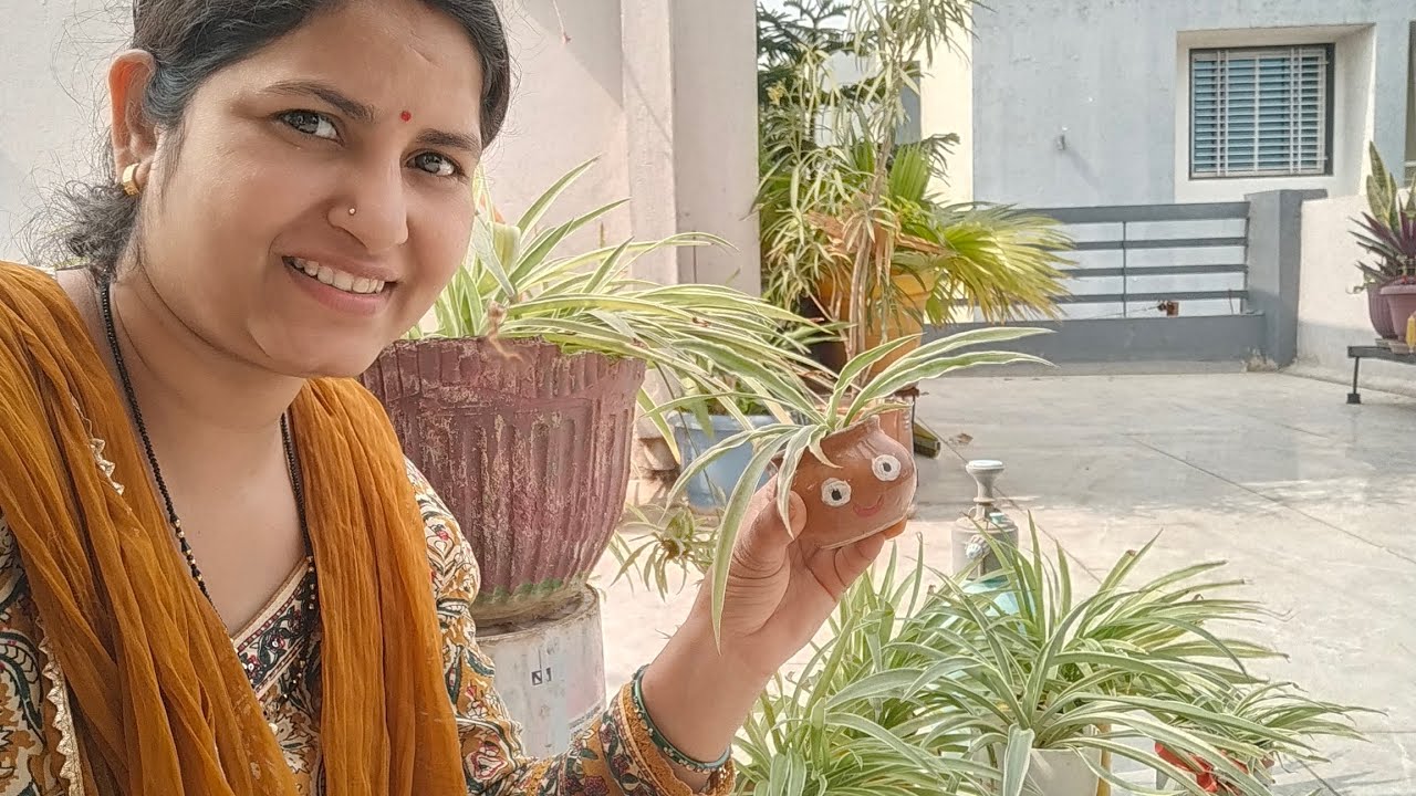 1से100 पौधे कैसे बनाएं#स्पाइडर प्लांट के फायदे: यह हवा को शुद्ध करता|Tips for Healthy Spider Plant 🪴