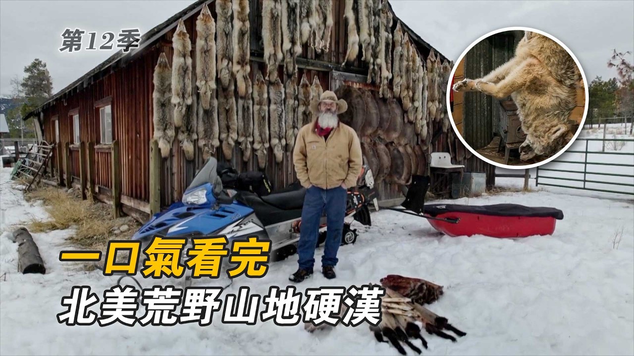 一口氣看完北美山地硬漢：狩獵麋鹿誘捕海狸，驅趕灰狼販賣皮毛，建造荒野木屋製作船隻！紀錄片