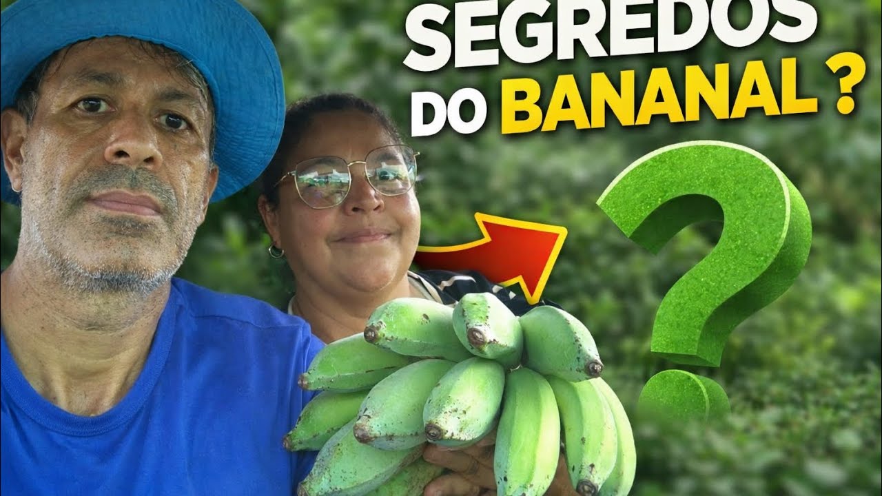 O QUE NÍNGUEM TE CONTA SOBRE ESSA PLANTAÇÃO!!!