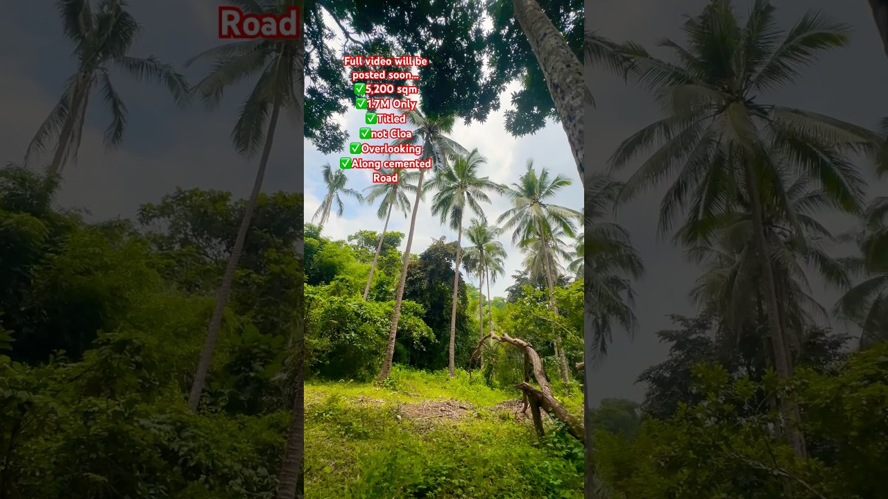 5,200 SQM - PHP 1.7M ONLY FARM FOR SALE IN LAGUNA - FULL VIDEO @ PROPERTY # 85 #cheaphugelots