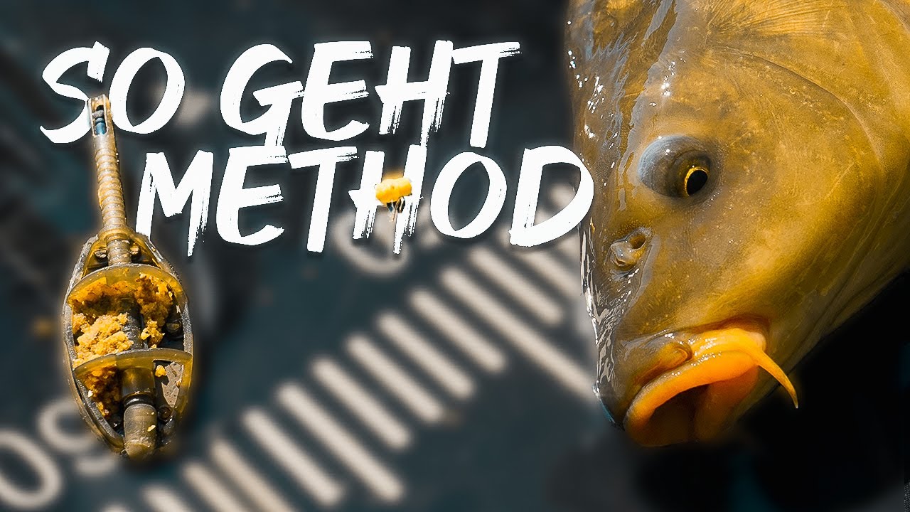 BESTE ALLROUND-TECHNIK! @feederfun zeigt's dir💪🎣