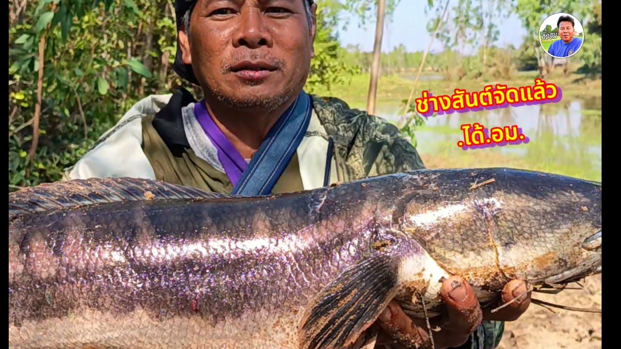 มื้อนี้ข่างสันต์เป็นพระเอก.ได้.อม.