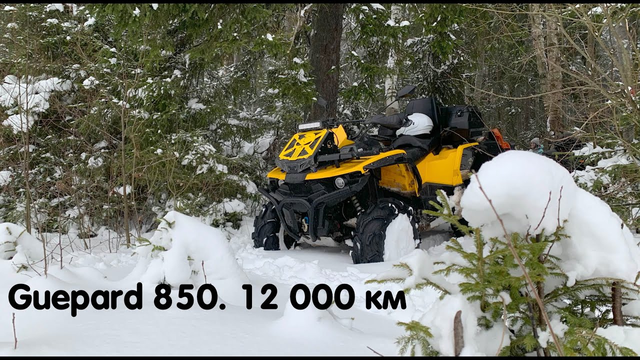 Stels Guepard 850 пробег 12 000 км полный обзор. Отзывы 6 людей о квадроцикле Stels Guepard