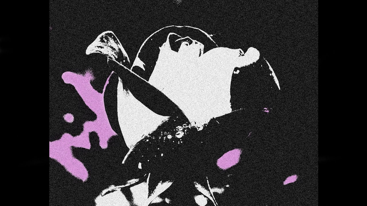 (free for profit) hyperpop + soft glitchcore type beat - 