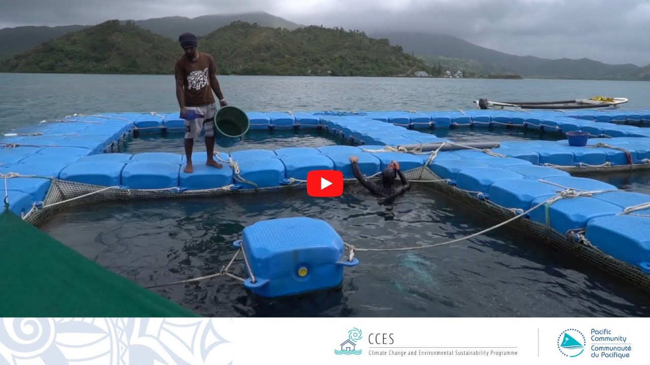 L'aquaculture en Nouvelle-Calédonie