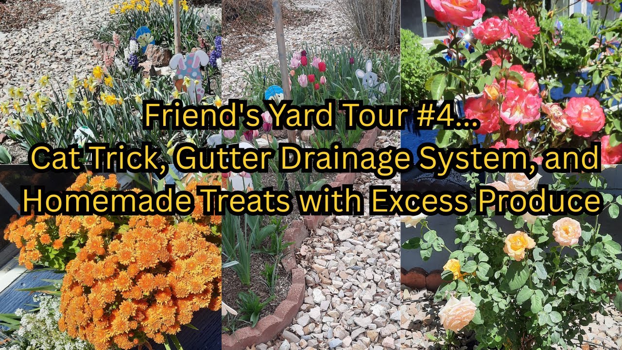 Friend's Yard Tour #4... Cat Trick, Gutter Drainage System, and Homemade Treats with Excess Produce