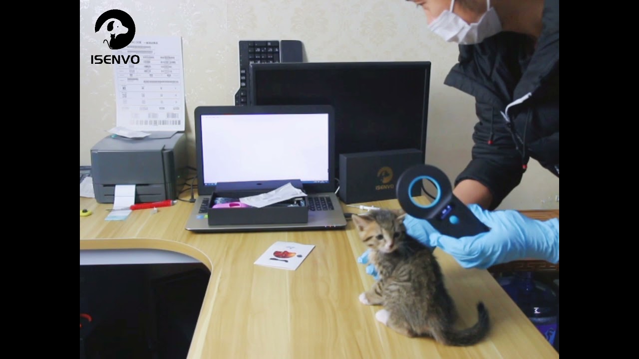 Implanting a microchip | ISENVO AR180I Pet Animal RFID Reader and animal microchip