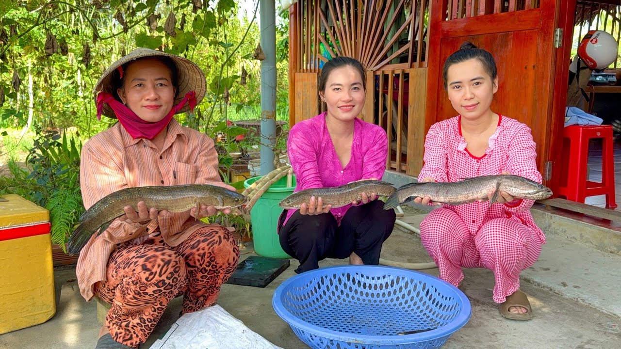 Làm 3 Con Lóc To Nấu Nồi Bún Thái Đãi Gia Đình Những Ngày Cuối Năm•UMQT | #1037