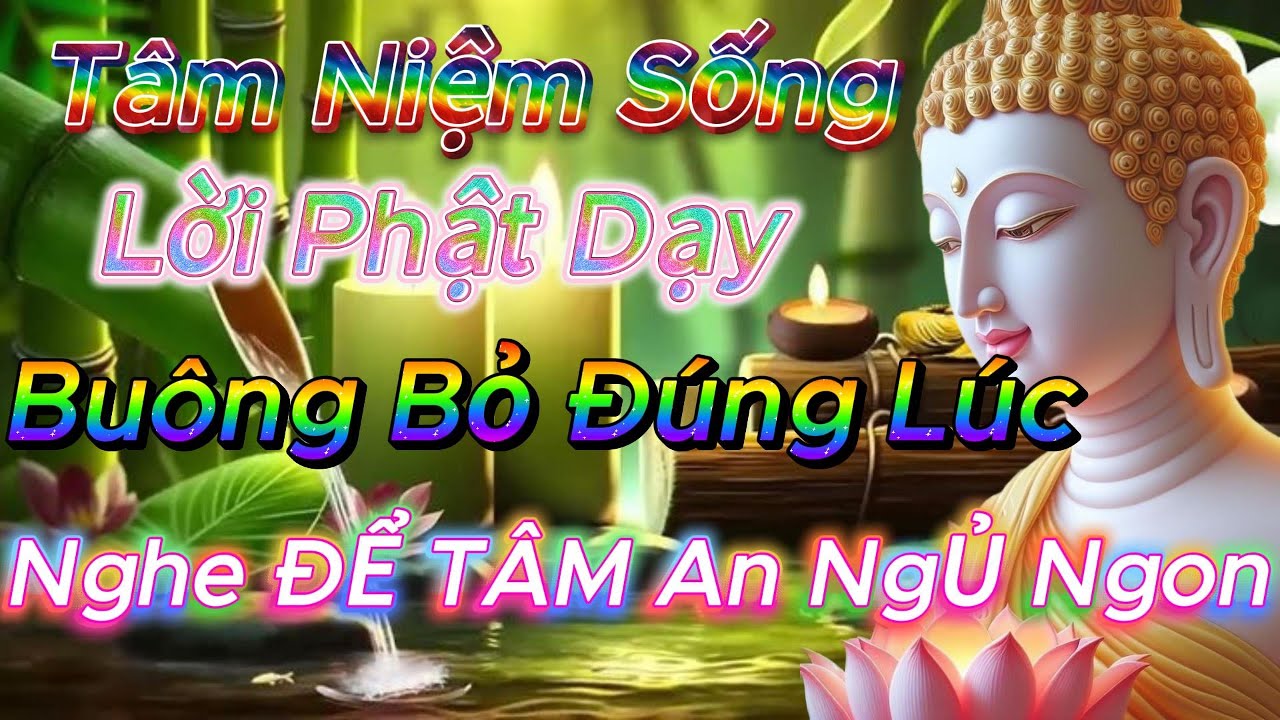 Buông Bỏ Đúng Lúc, Tâm Nhẹ Nhàng – Nghe Để An Nhiên Và Ngủ Ngon
