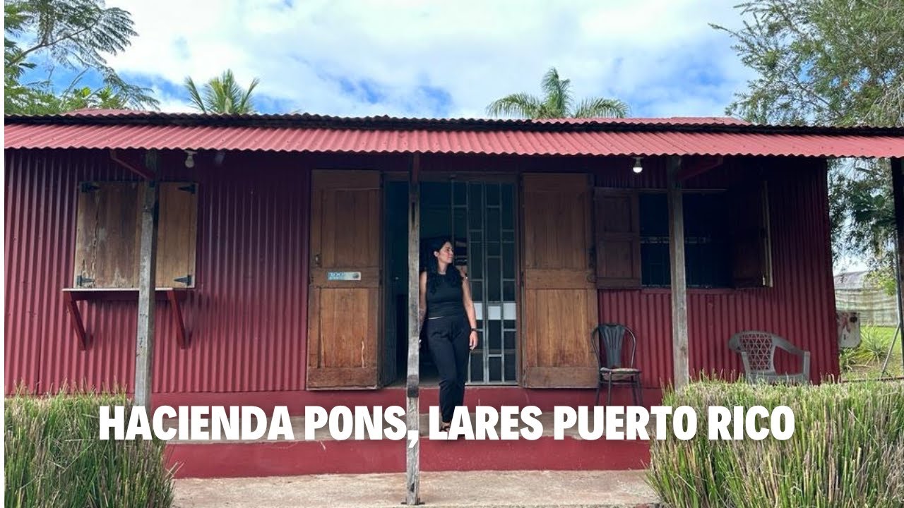 Acampando en La Hacienda Pons para La Navideña Castañer, Puerto Rico