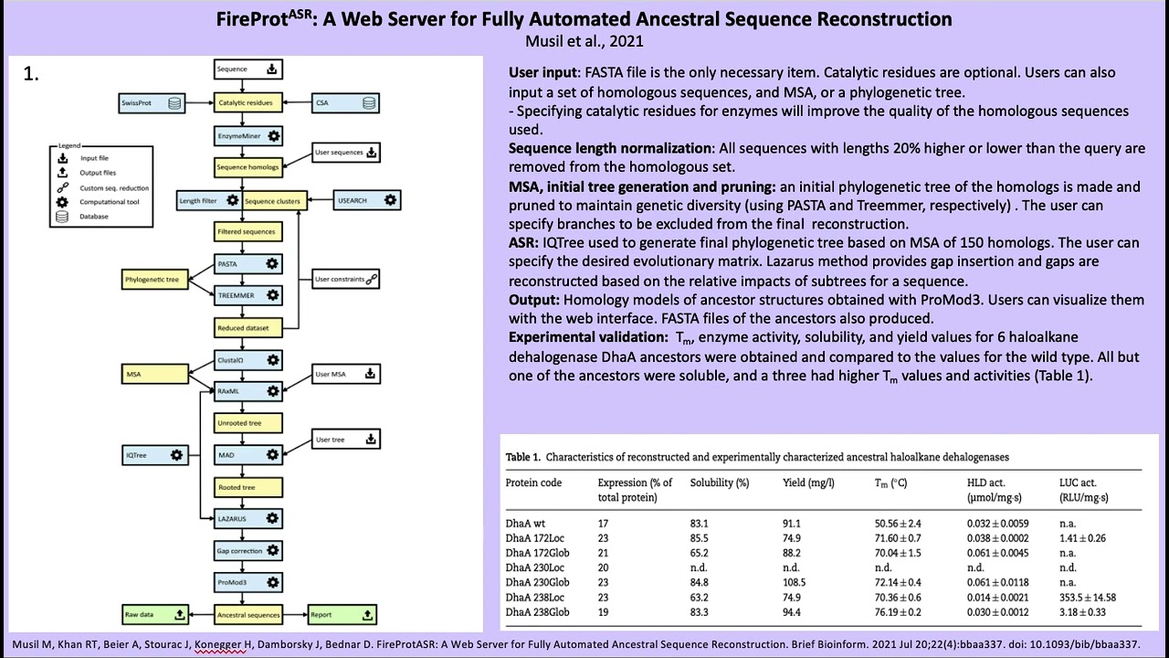 FireProt: A Webserver for Fully Automated Ancestral Sequence Reconstruction; Musil et al (2021)