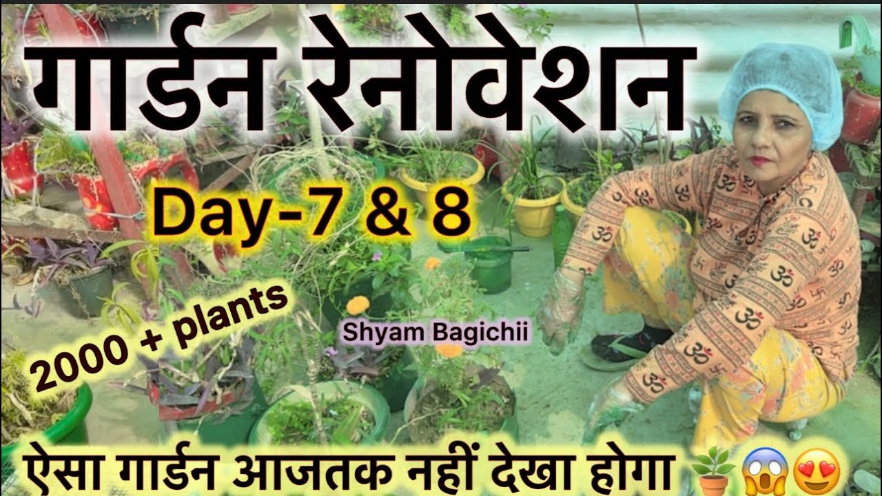2000+ पौधों वाला छत का गार्डन 😱| Garden Renovation Day-7 & 8 | ऐसा गार्डन पहले कभी नहीं देखा |Garden