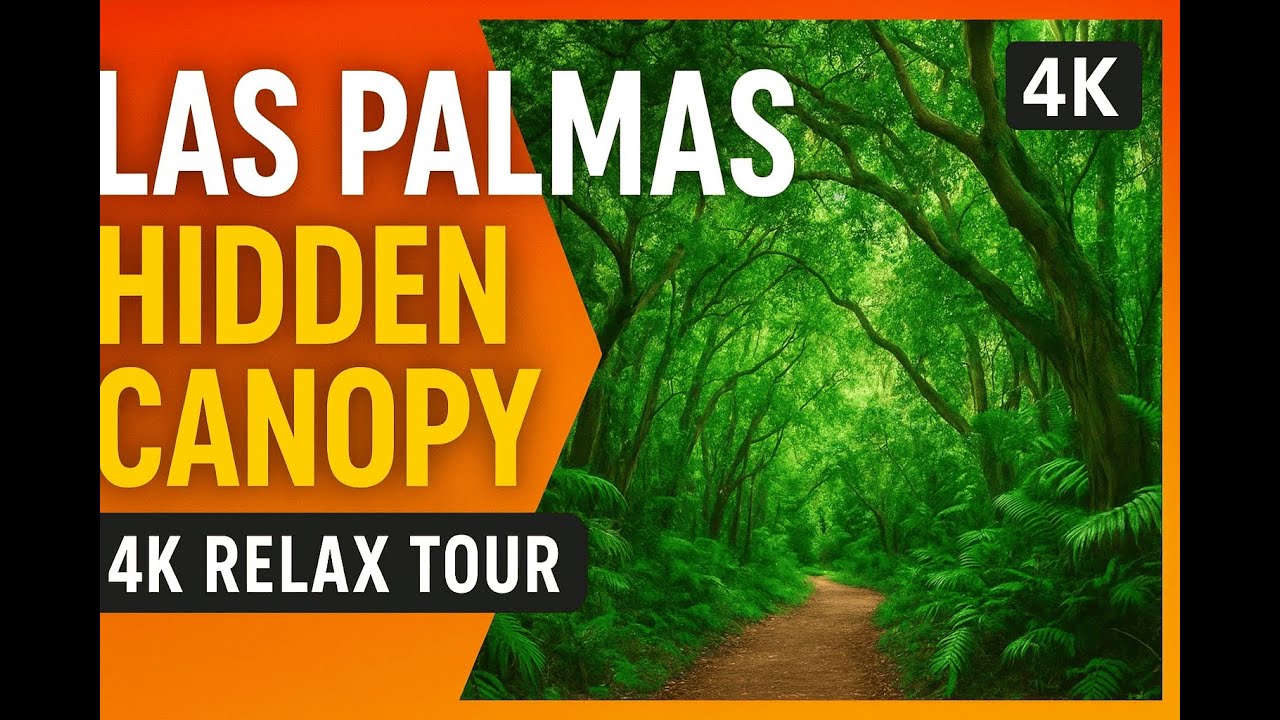 Las Palmas | Hidden Canopy | 4K Relax Tour