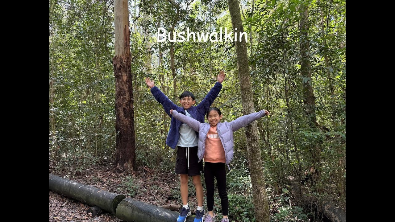 Cumberland State Forest 森林漫步
