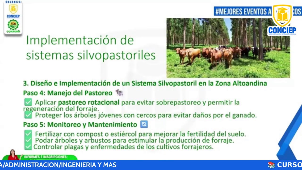 📚𝗖𝗨𝗥𝗦𝗢:MANEJO DE PASTURAS EN ZONAS ALTOANDINAS📚