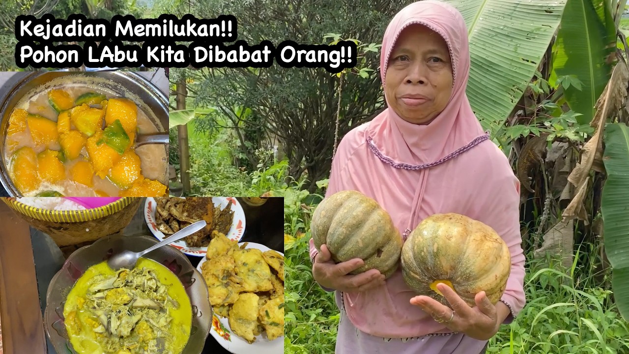 Petik Waluh Bikin Kolak Labu Sangat Pulen Dan Gak Lupa Gulai Daging Pisang Yg Sangat Manja Di Lidah