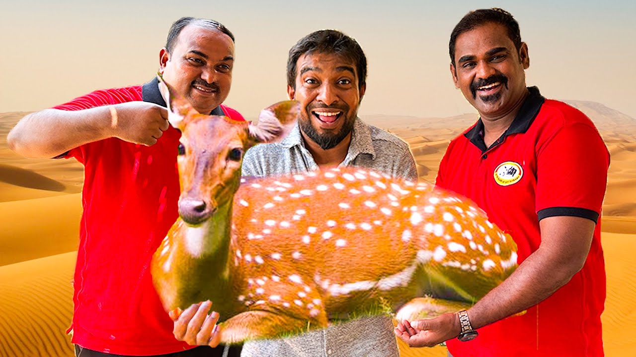 Arabian maan Tandoori | Deer Barbeque | @FoodAreaTamil | @tamilsafari | WORLD FOOD TUBE