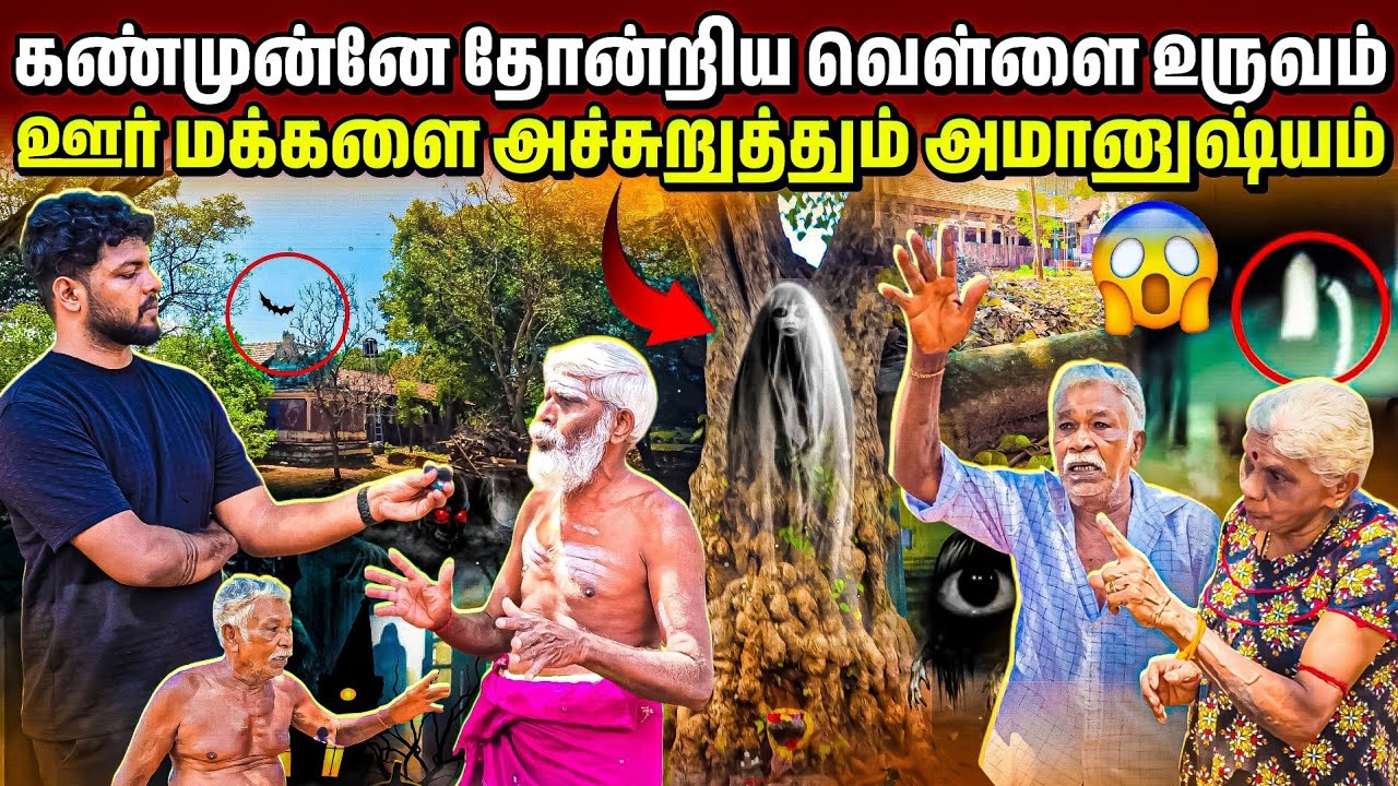 😱 ஊர் மக்கள் அதிர்ச்சி! மரத்தில் தோன்றிய மர்ம உருவம் | யாழில் நடந்த அதிசயம் | Rj Tamizha 