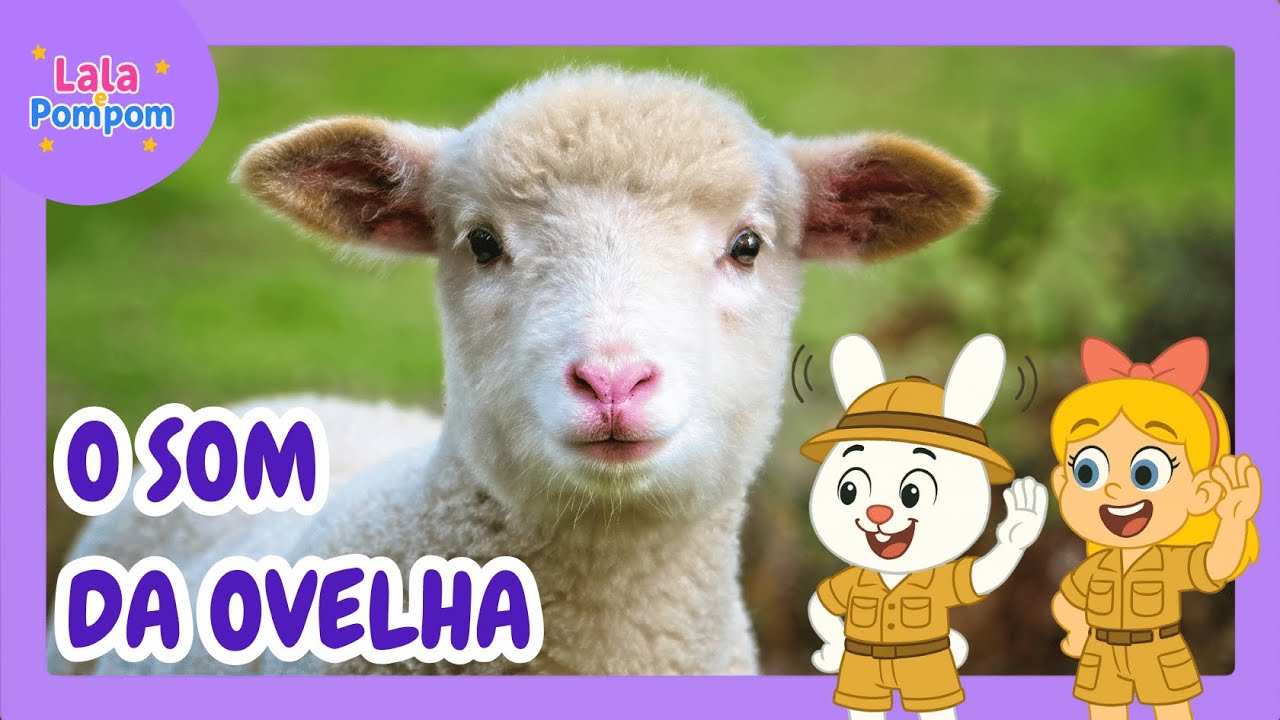 O Som da Ovelha 🐑 | Lala e Pompom