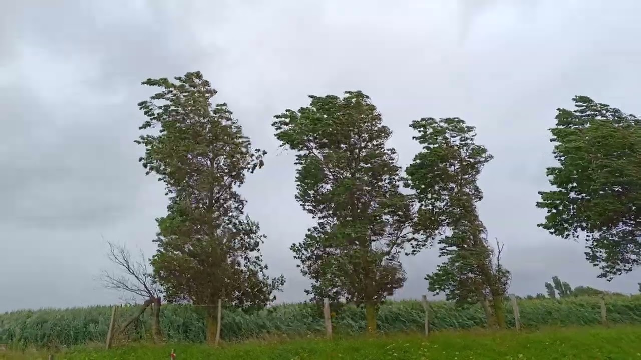 TEMP&Ecirc;TE ANTONI  DU 5 AO&Ucirc;T 2023 94KM/H OCTEVILLE-SUR-MER 🌀⚠️P1