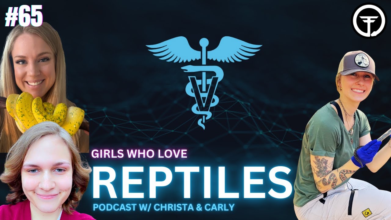 Two DVM/PhDs and a Reptile Podcast | Girls Who Love Reptiles Podcast Live