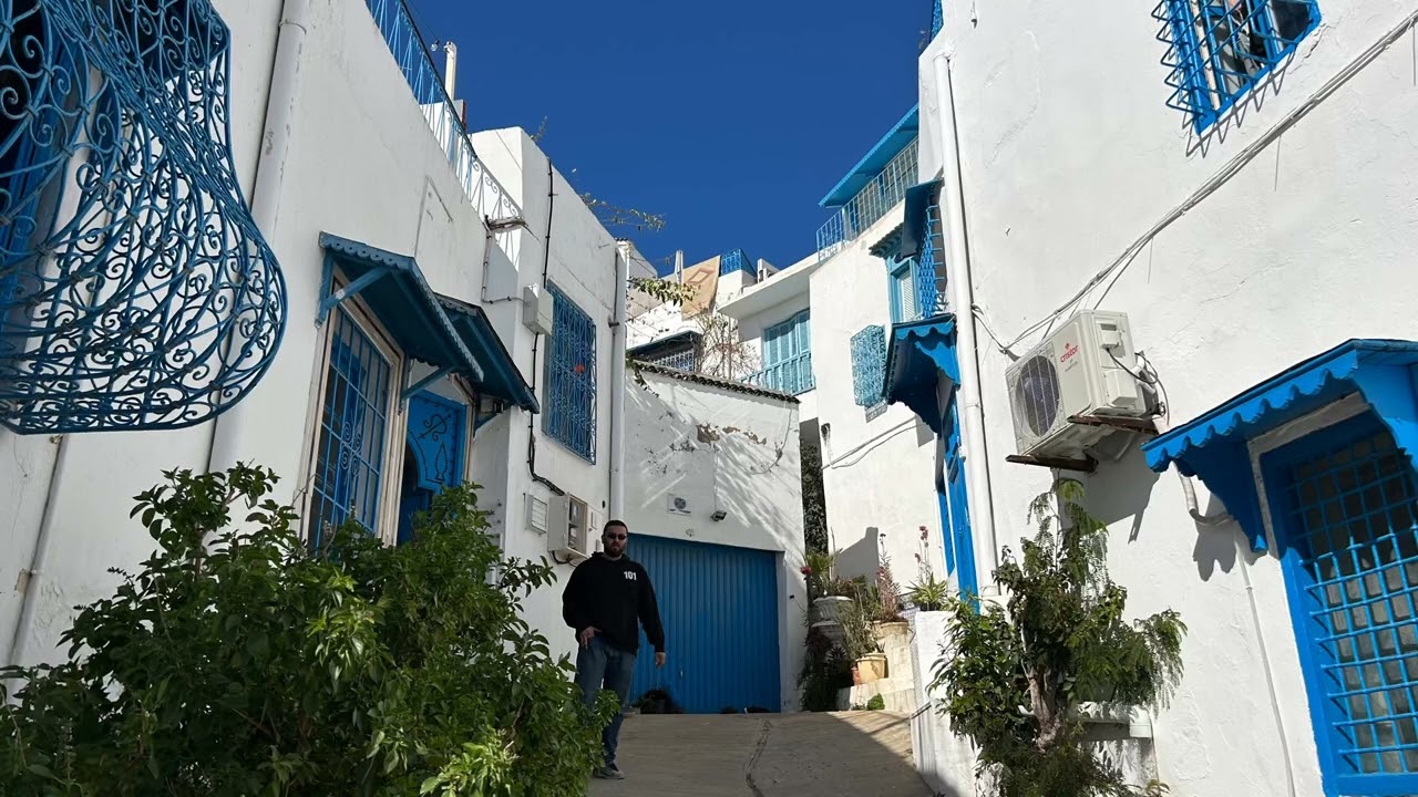 카르타고(Carthage), 시디 부 사이드(Sidi Bou Said)-2026.2