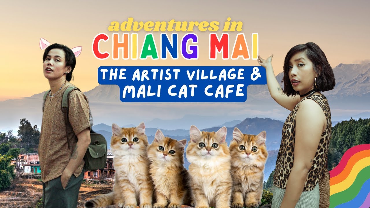 in search of arts & cats | The Artist Village, Mali Cat Cafe, best chicken noodle soup, night market
