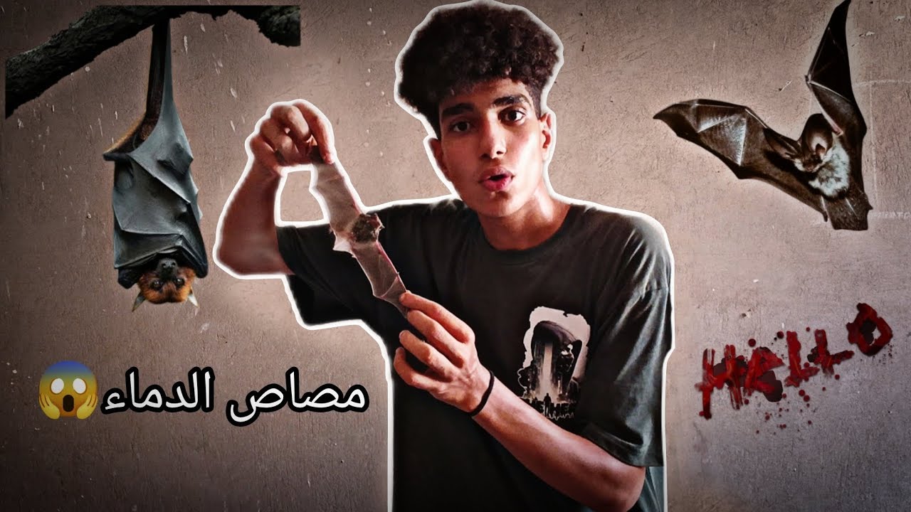 رحلة صيد  مصاصي الدماء في عز النهار😟🦇