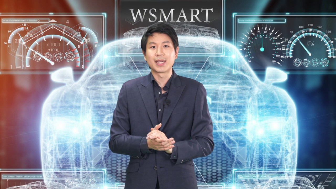 COMPANY OVERVIEW WSMART