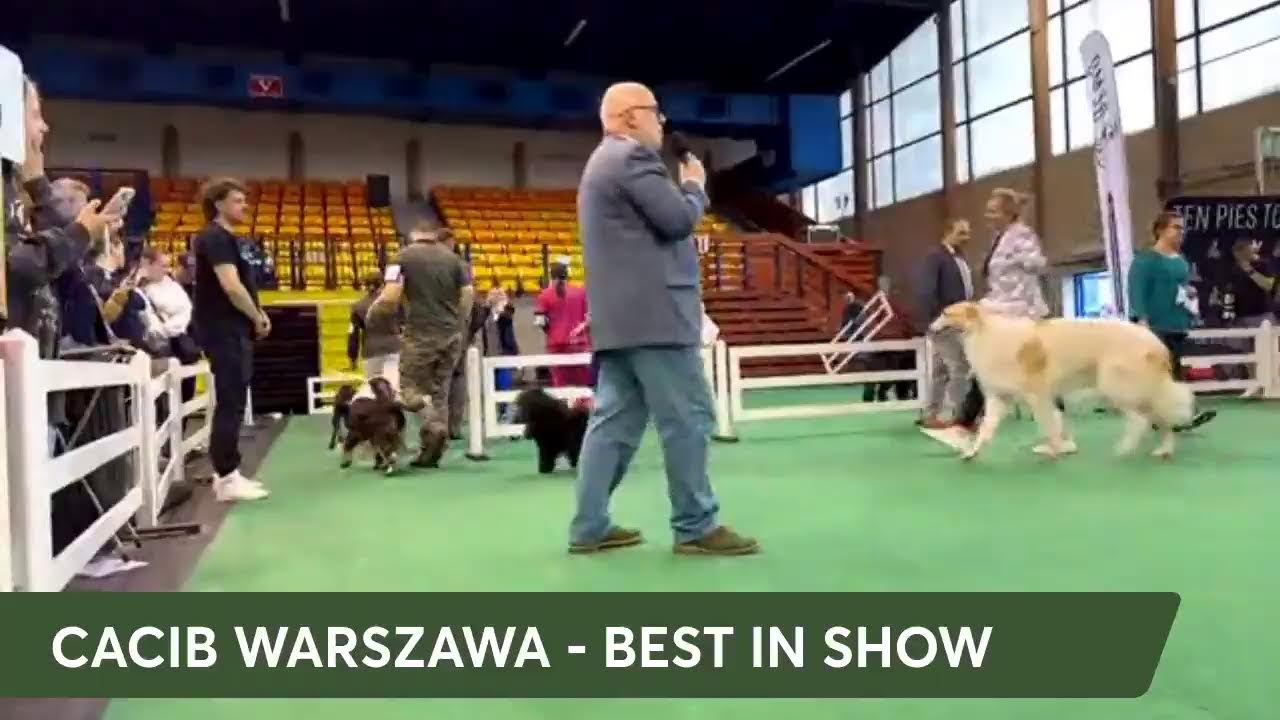 FINAŁY | CACIB WARSZAWA - Memoriał Zygmunta Jakubowskiego