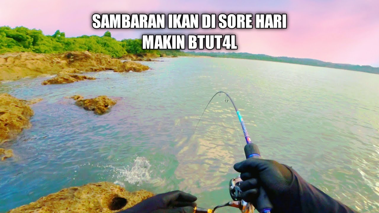 IKAN BESAR AKTIF SAAT KONDISI AIR PASANG PAS SORE || Light casting pakai minnow warna killer