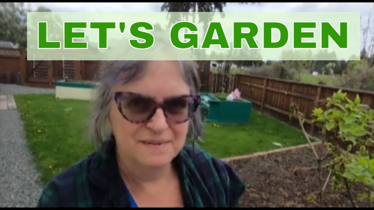 Garden Update Liz Zorab Method Potato Planting Still too cold to plant outside Having a late spring