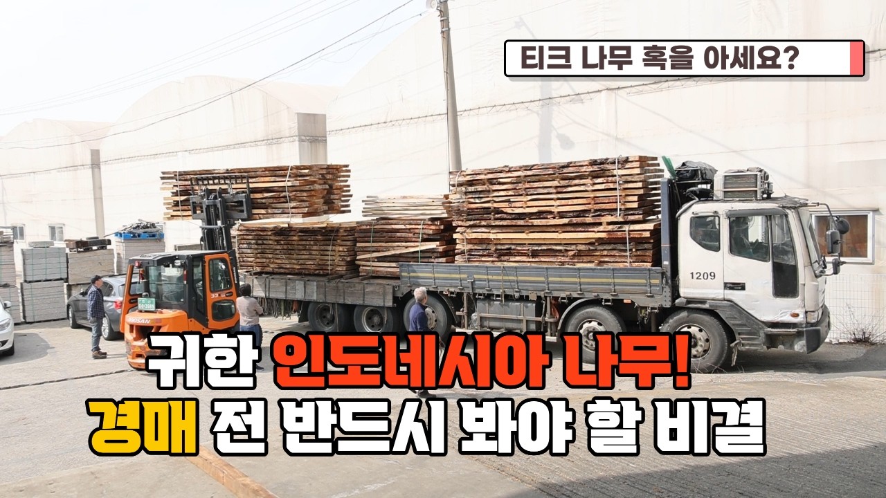 인도네시아에 온 보물, 희귀한 나무 다 있습니다 #우드슬랩 #원목 #경매 #식탁 #대추나무 #원자재 #아쌈 #목공 #인도네시아 #대양목재