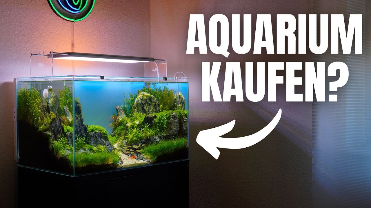 Aquarium kaufen?! Tipps f&uuml;r deinen Aquarien Kauf