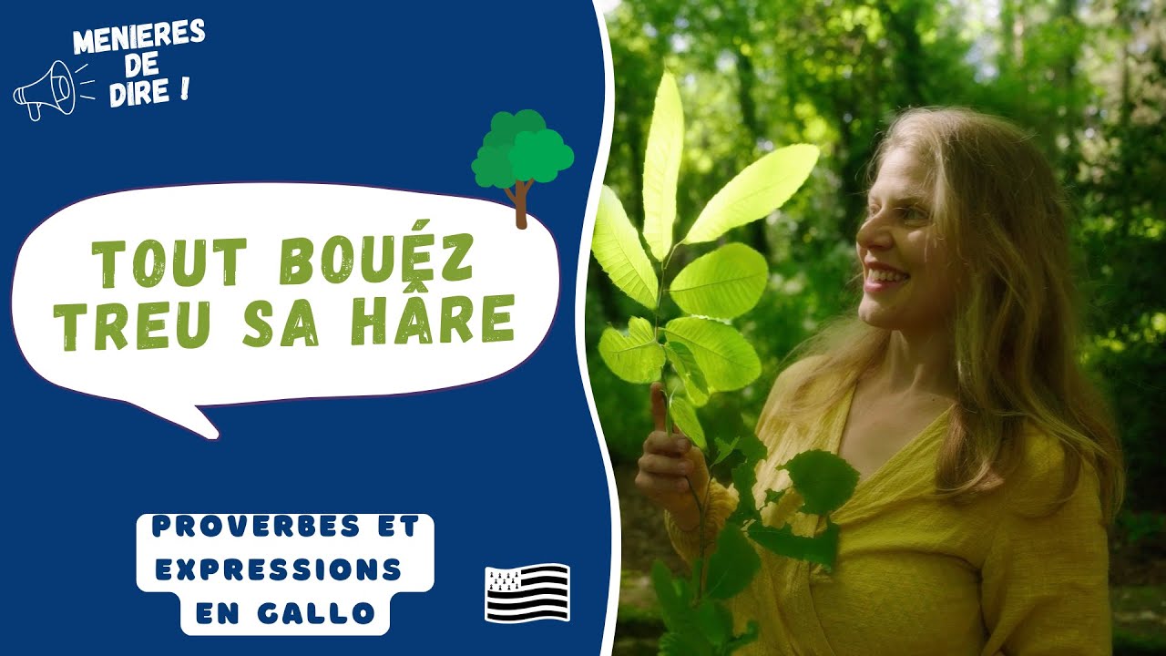 Tout bouéz treu sa hâre 🪵 💘 Menieres de dire (en gallo) 🗣️