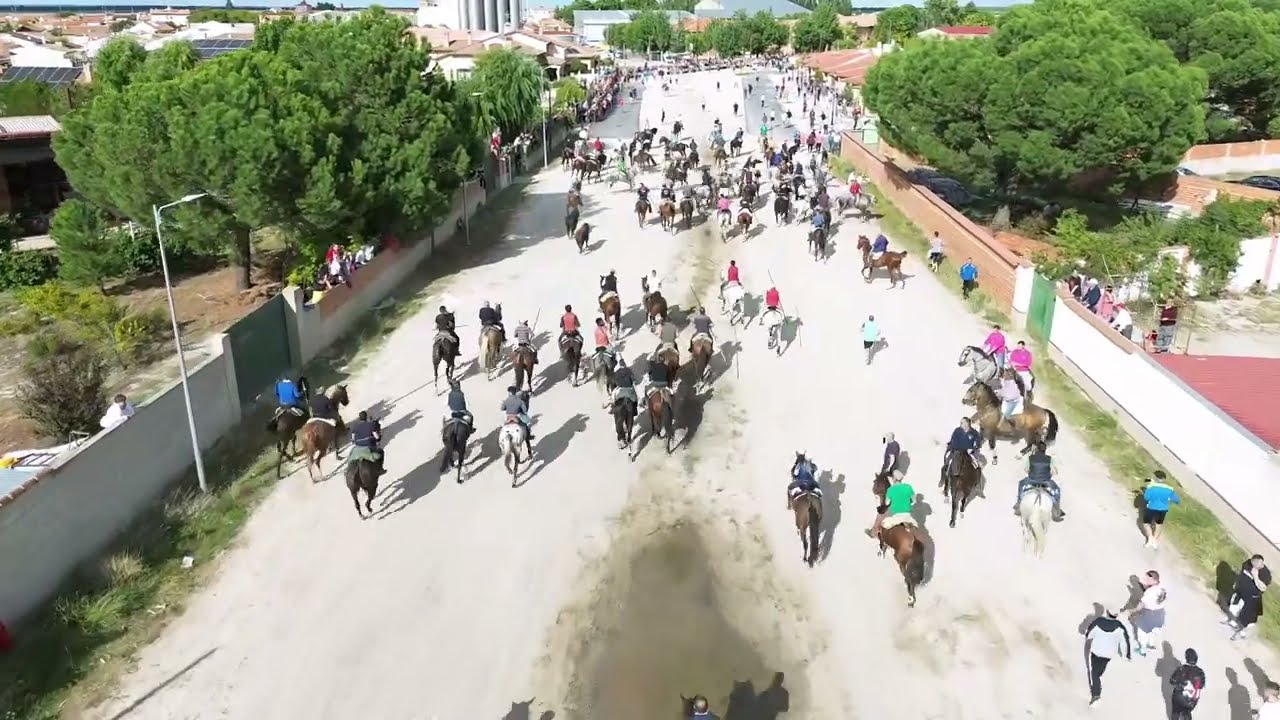 Encierro por el campo Nava de la Asunción  Viernes 22 de Septiembre del 2023