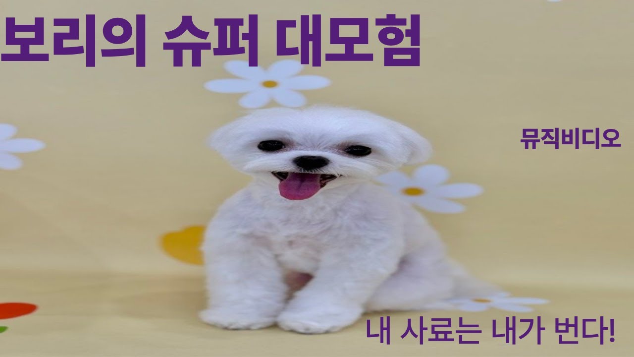 보리의 슈퍼 히어로 대모험 - 내 사료는 내가 번다!