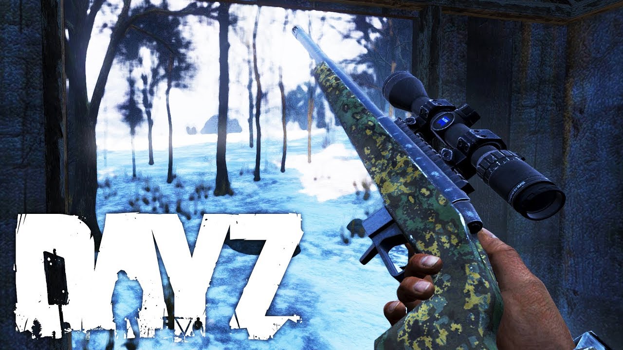 Killing in COLD BLOOD - DayZ
