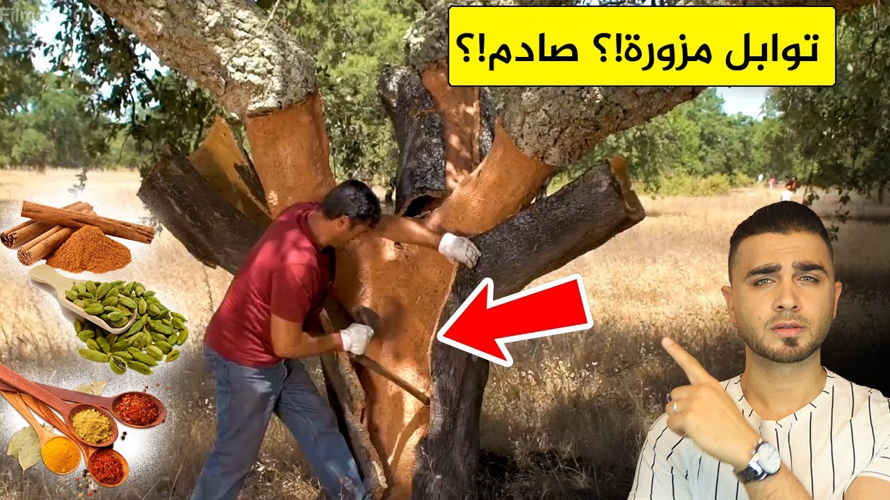 معلومات صادمة عن البهارات والتوابل😱انتاج الهيل والقرفة والزعفران🤔كشف المزور منهم!؟