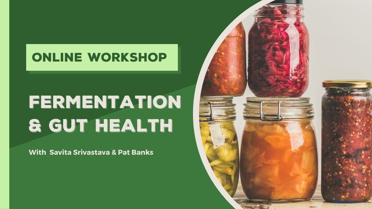 Fermentation and Gut Health