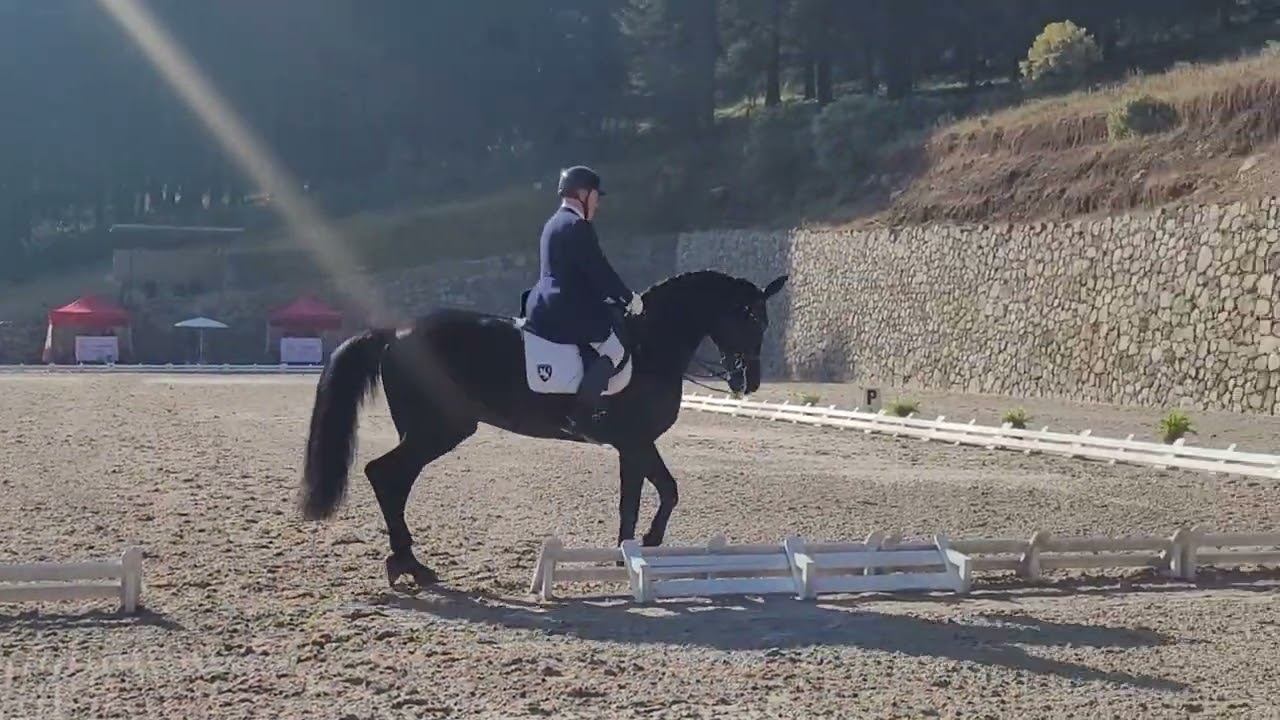 First ever GPS with Kurioso. He was very low energy all week.  Anyway, bad day, no bad experience.