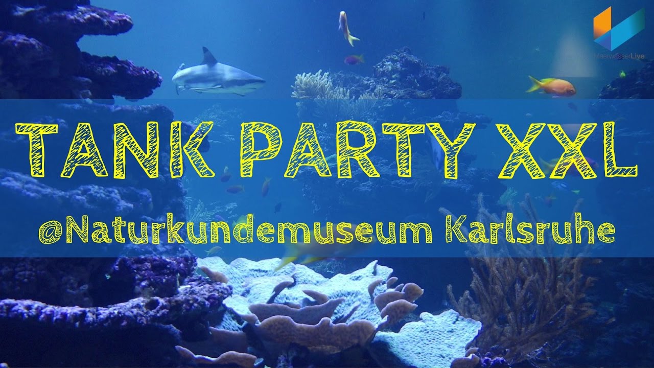 3/3 240 .000 Liter Meerwasser im Naturkundemuseum Karlsruhe |Backstage Führung | TANK PARTY XXL