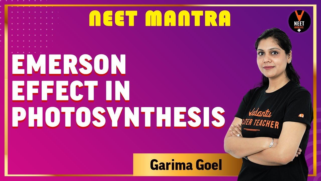 Emerson Effect in Photosynthesis | NEET 2020 Preparation | NEET Mantra by Garima Goel |NEET Biology