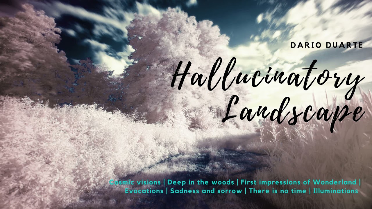 Ambient music: Hallucinatory Landscape