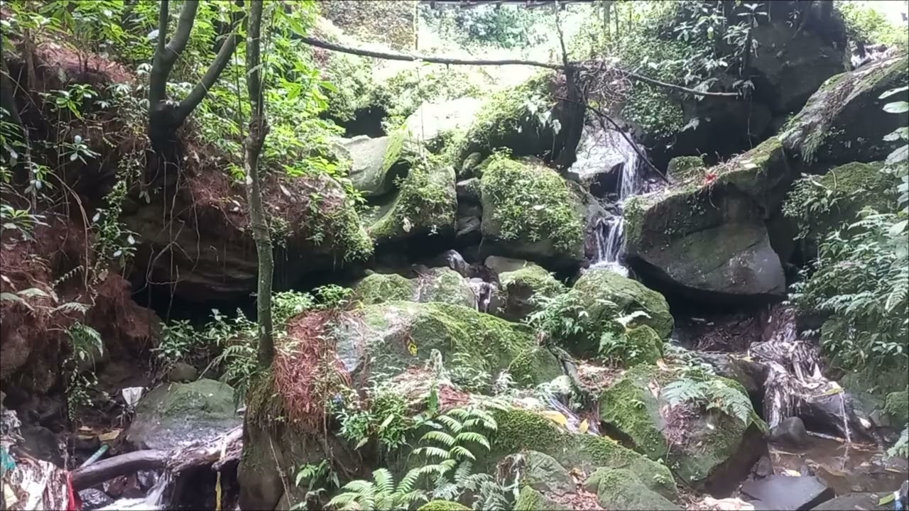Tropical Water Flow ASMR | Realistic Nature Audio for Sleep & Focus