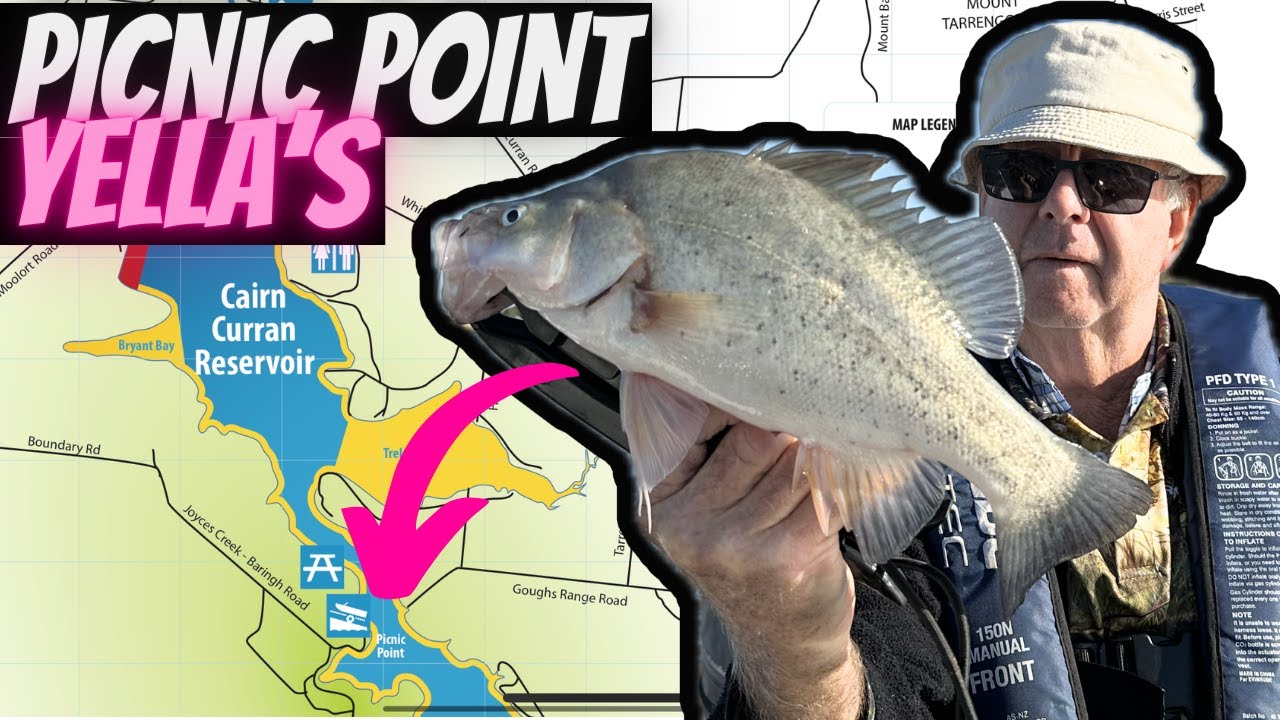 Secret Yellowbelly fishing spot at Picnic Point Cairn Curran