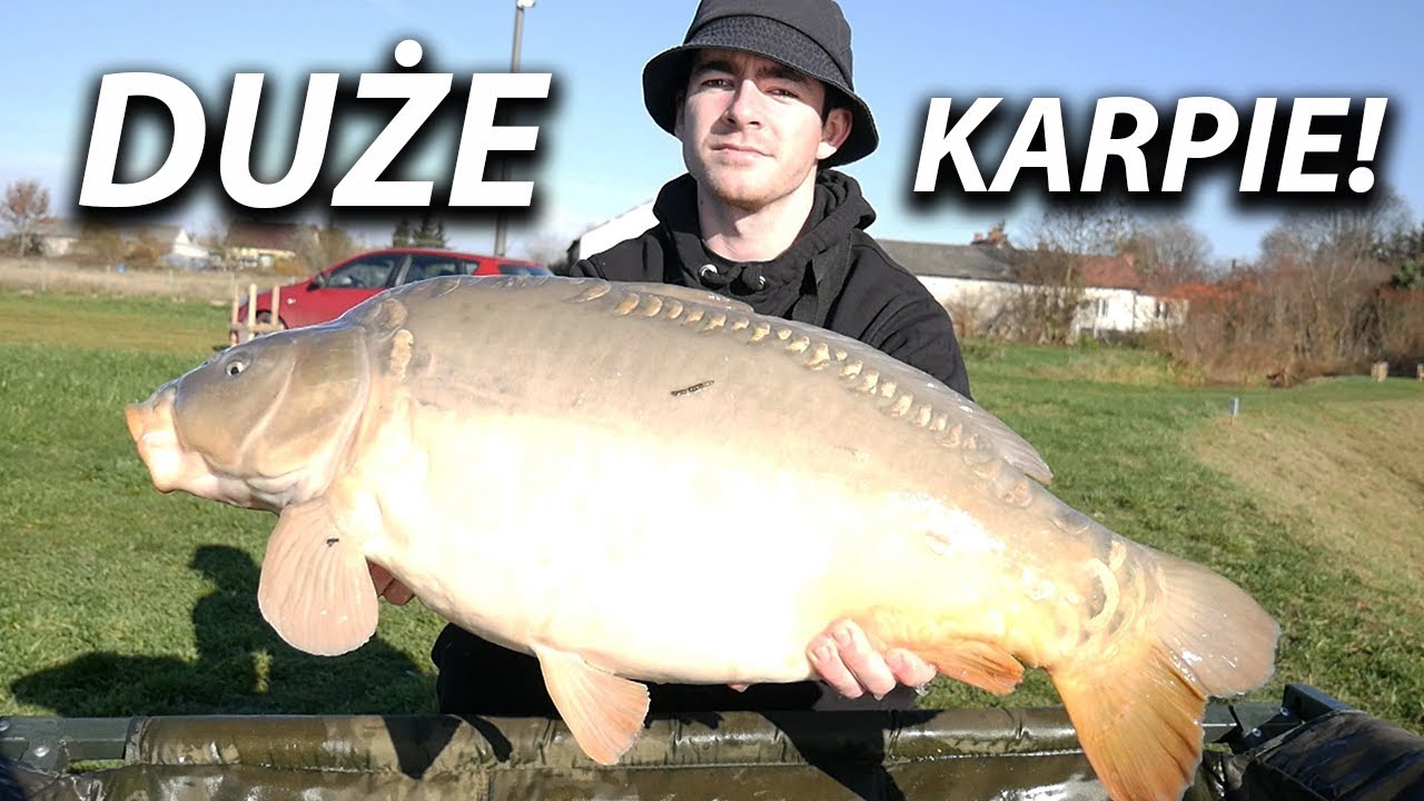 DUŻE KARPIE NA METHOD FEEDER! ŁOWISKO U SOKOŁ&Oacute;W!