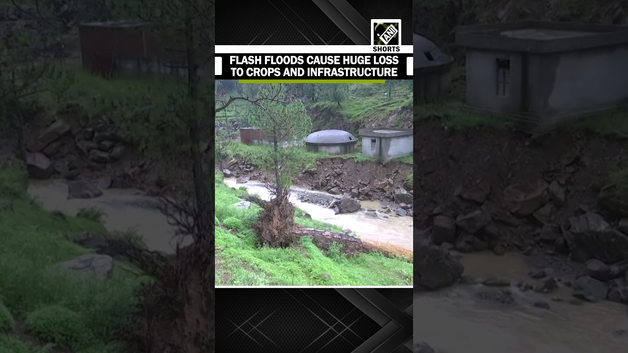 Flash floods wreak havoc in J&K&rsquo;s Rajouri, cause huge losses to crops and roads